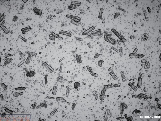 第6页-15 第6页-15