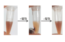 磁性高分子微球粒径和Zeta电位测试