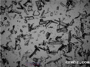 激光粒度仪在苯磺酸氨氯地平原料药粒度测试中的应用